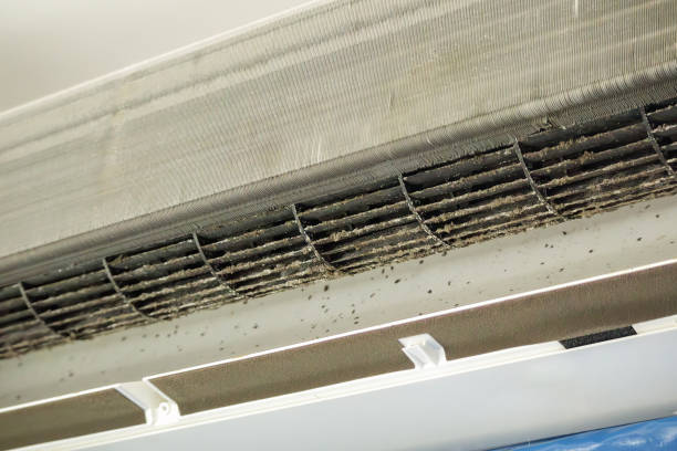 Best Affordable Air Duct Cleaning  in Gower, MO